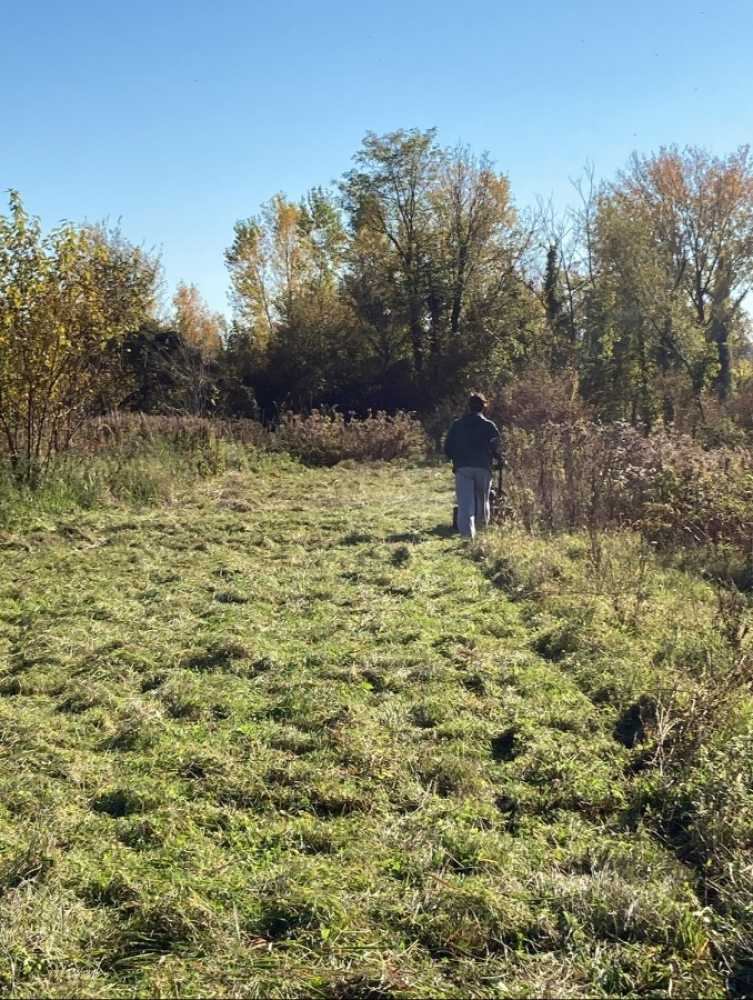 20240522223819_IMG_2368