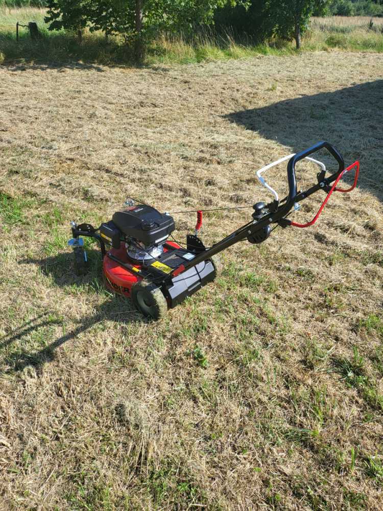 20240719175952_20240719_174651