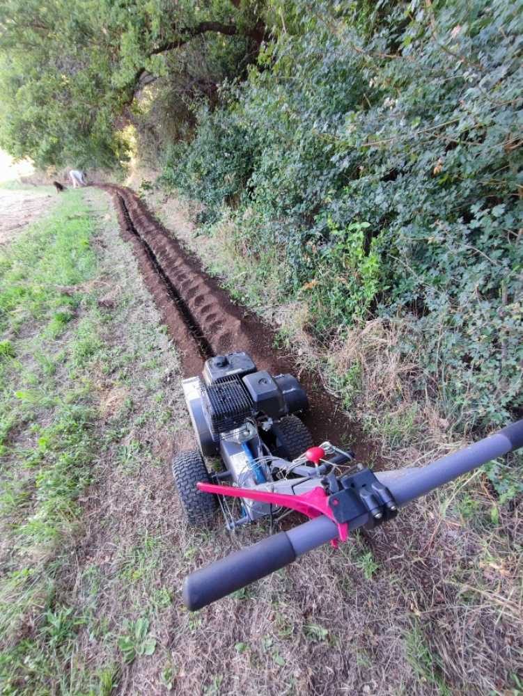 202411291318_1000160164