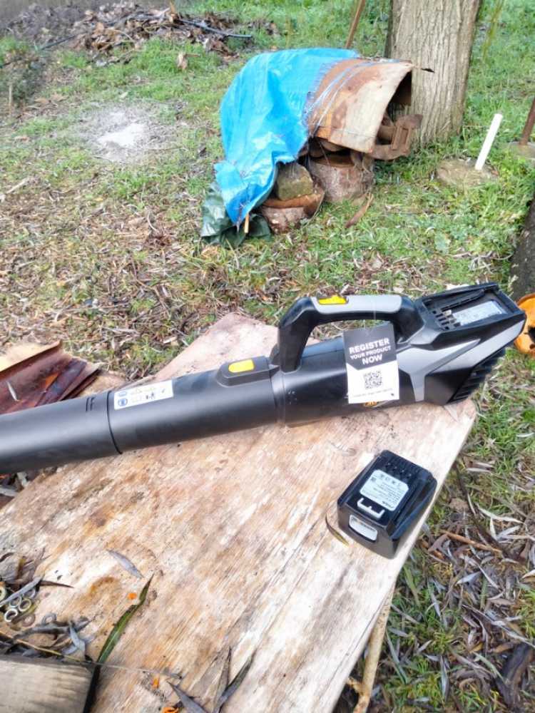 20241214174656_IMG20241211110642