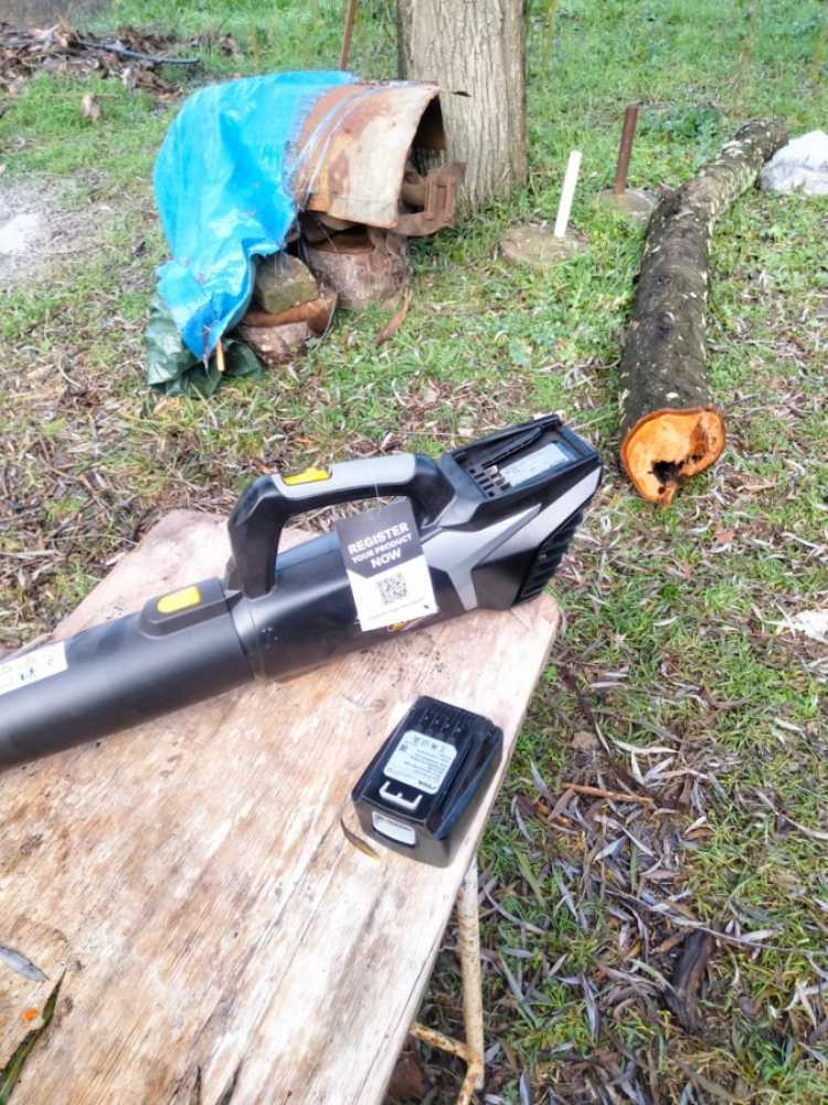 20241214174711_IMG20241211110645