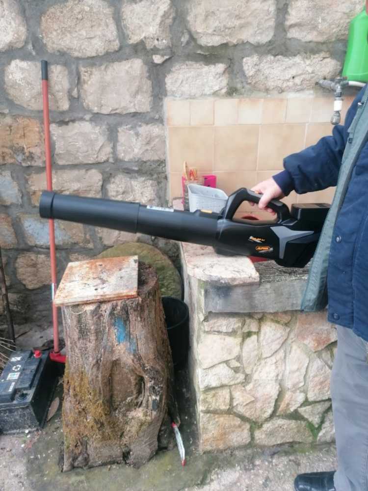 20250312115515_WhatsApp Image 2025-03-12 at 09.07.21 (1)