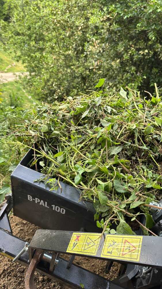 2025051662528_921C1682-D17F-425C-AD17-B21B94398E05