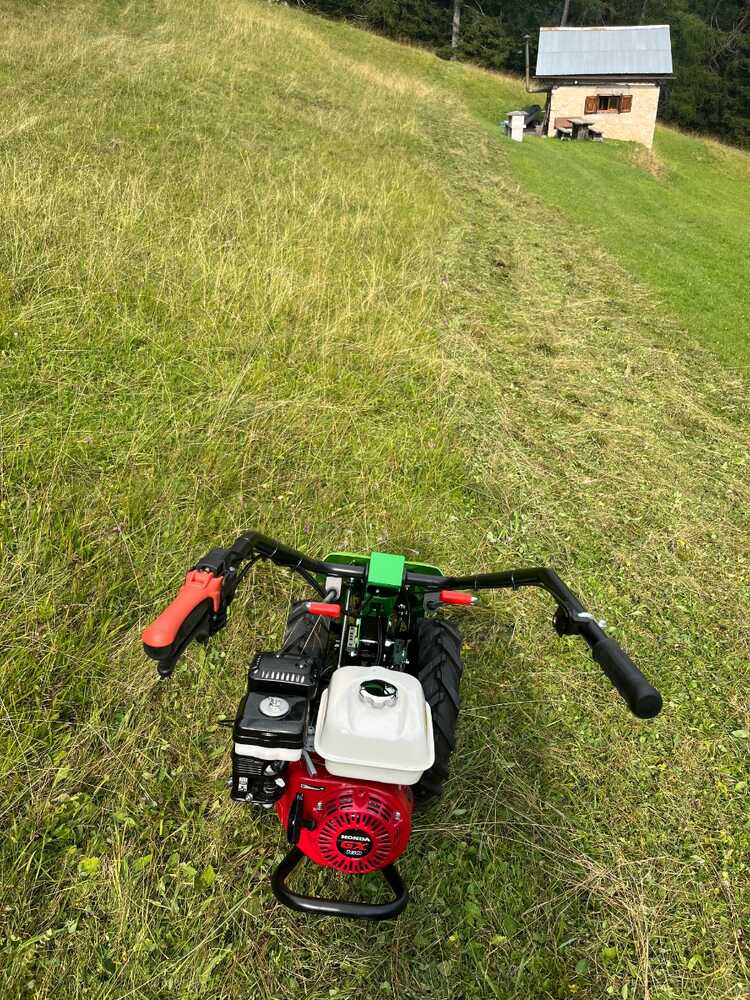 2025081694457_IMG_4457