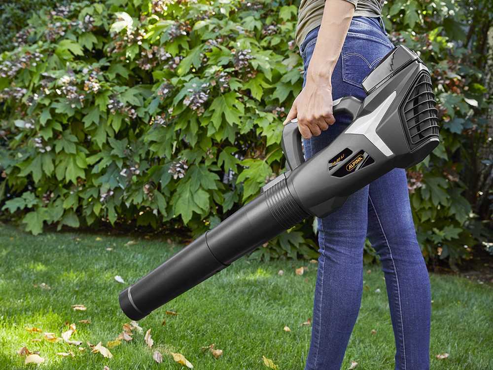 alpina-ab-20-li-kit-soplador-de-batera-20v-4ah-caractersticas-generales--47339_7_1709798700_IMG_65e9752c5cbed (1)