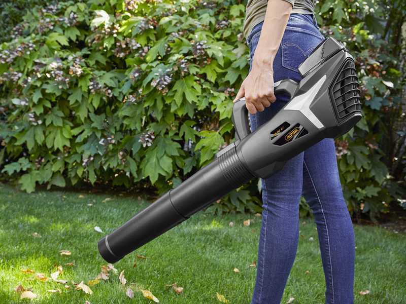 alpina-ab-20-li-kit-soplador-de-batera-20v-4ah-caractersticas-generales--47339_7_1709798700_IMG_65e9752c5cbed