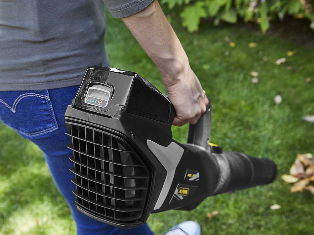 alpina-ab-20-li-kit-soplador-de-batera-20v-4ah-soplador-axial-de-batera-4ah-alpina-ab-20-li-kit--47339_0_1709800334_IMG_65e97b8eeee01