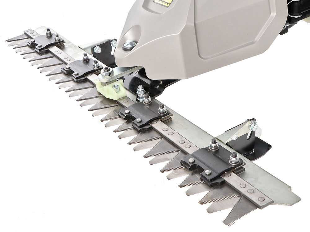 blackstone-sm-65-880-motosegadora-monocuchilla-motor-de-196cc-barra-de-siega-de-88-cm--50466_2_1718028987_IMG_66670abbd9d69