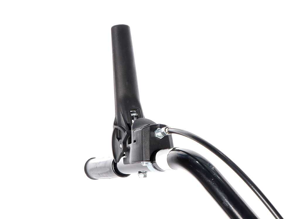 blackstone-sm-65-880-motosegadora-monocuchilla-motor-de-196cc-controles-y-manceras--50466_12_1718028989_IMG_66670abd09c38