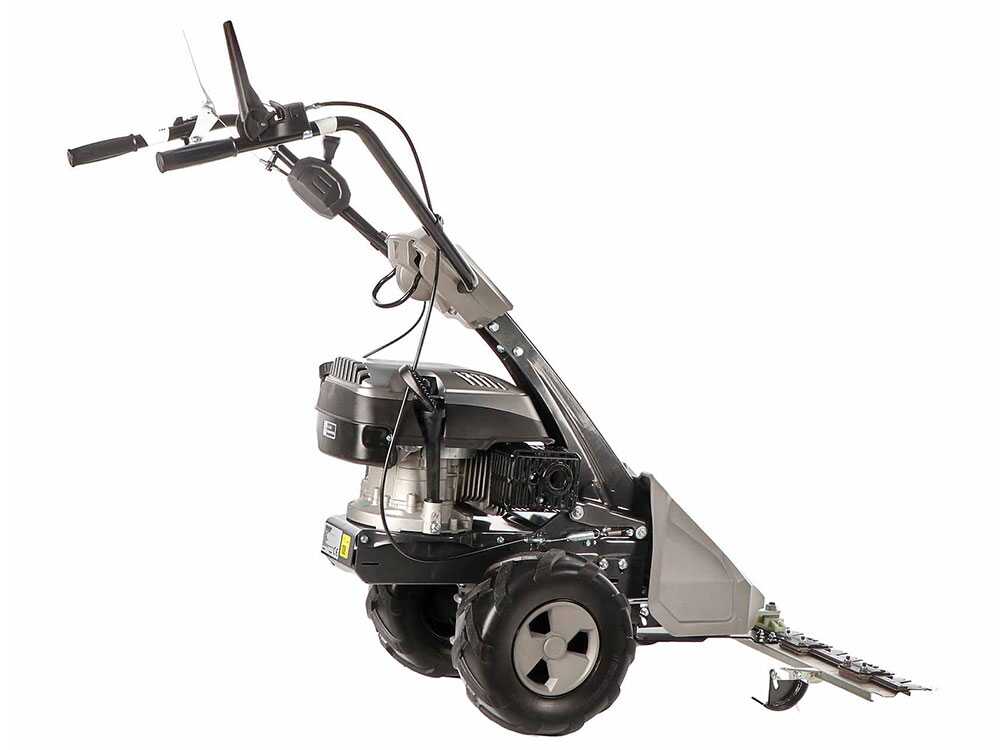 blackstone-sm-65-880-motosegadora-monocuchilla-motor-de-196cc-motosegadora-blackstone-sm-65-880--50466_8_1718028987_IM (10)