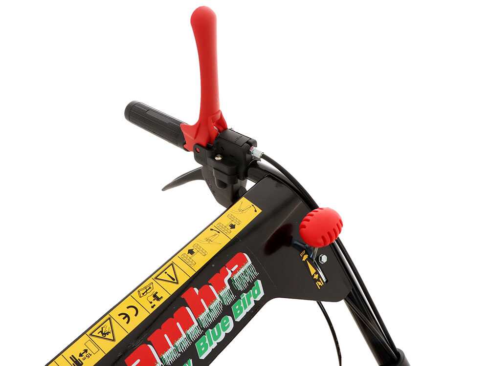 blue-bird-alhambra-ts-pro-h0-motosegadora-rotativa-honda-gcv-200-mandos--24869_9_1597752463_IMG_5f3bc48f66351