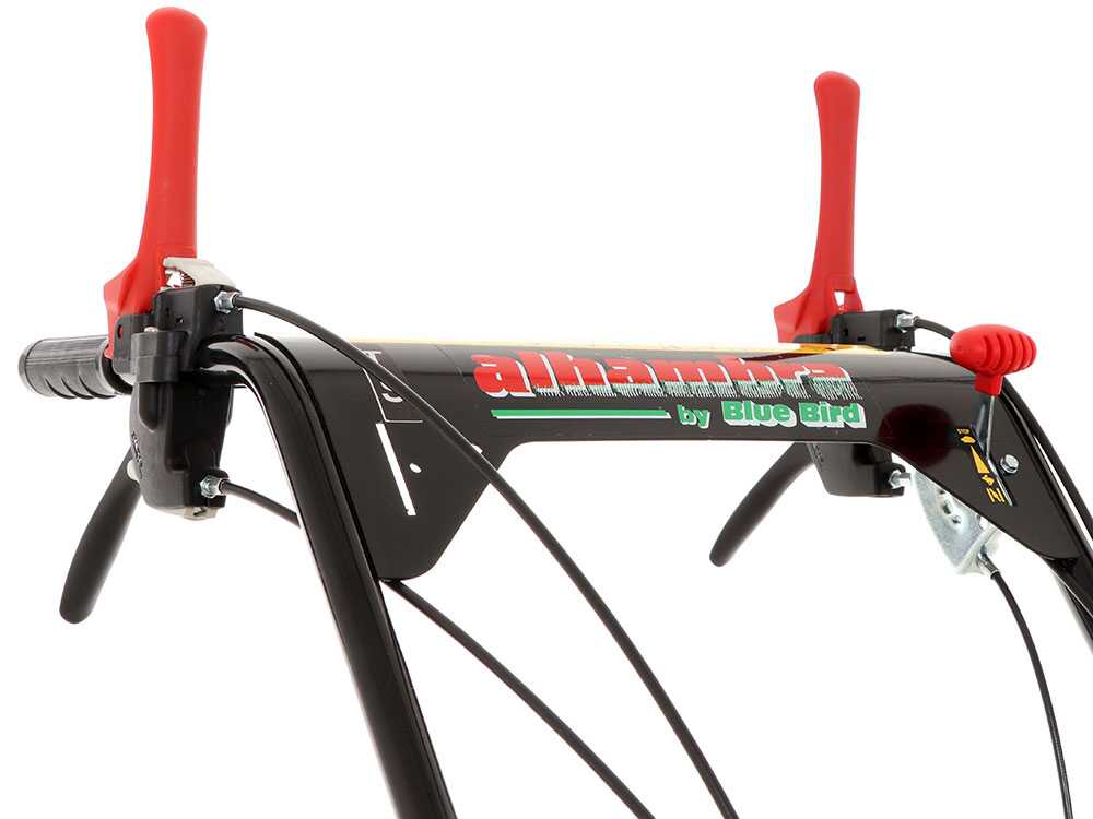 blue-bird-alhambra-ts-pro-h0-motosegadora-rotativa-honda-gcv-200-mandos--24869_9_1597752463_IMG_5f3bc48f75eb7