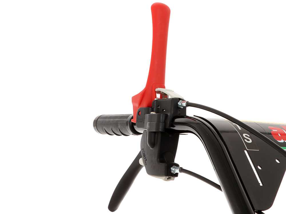 blue-bird-alhambra-ts-pro-h0-motosegadora-rotativa-honda-gcv-200-mandos--24869_9_1597752463_IMG_5f3bc48f7844d