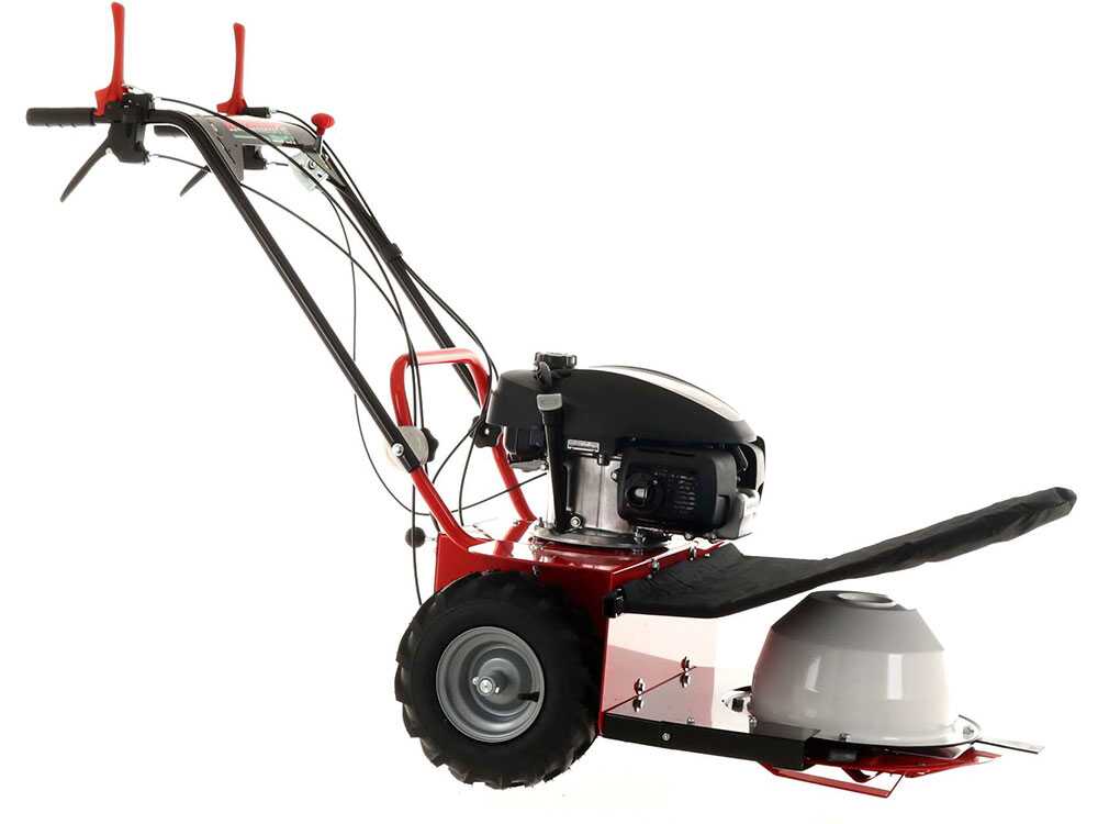 blue-bird-alhambra-ts-pro-h0-motosegadora-rotativa-honda-gcv-200-motosegadora-giratoria-alhambra-ts-pro-h0--24869_12_1597752463_IMG_5f3bc48ff07a2