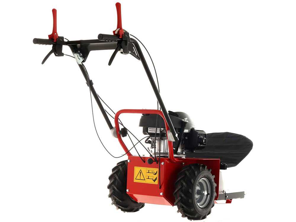 blue-bird-alhambra-ts-pro-h0-motosegadora-rotativa-honda-gcv-200-motosegadora-giratoria-alhambra-ts-pro-h0--24869_12_1597752464_IMG_5f3bc490029a7