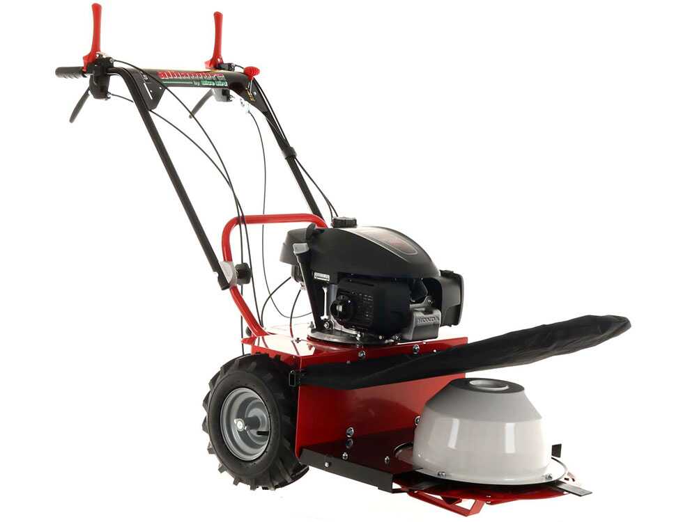 blue-bird-alhambra-ts-pro-h0-motosegadora-rotativa-honda-gcv-200-motosegadora-giratoria-alhambra-ts-pro-h0--24869_12_1597752464_IMG_5f3bc49004ab1