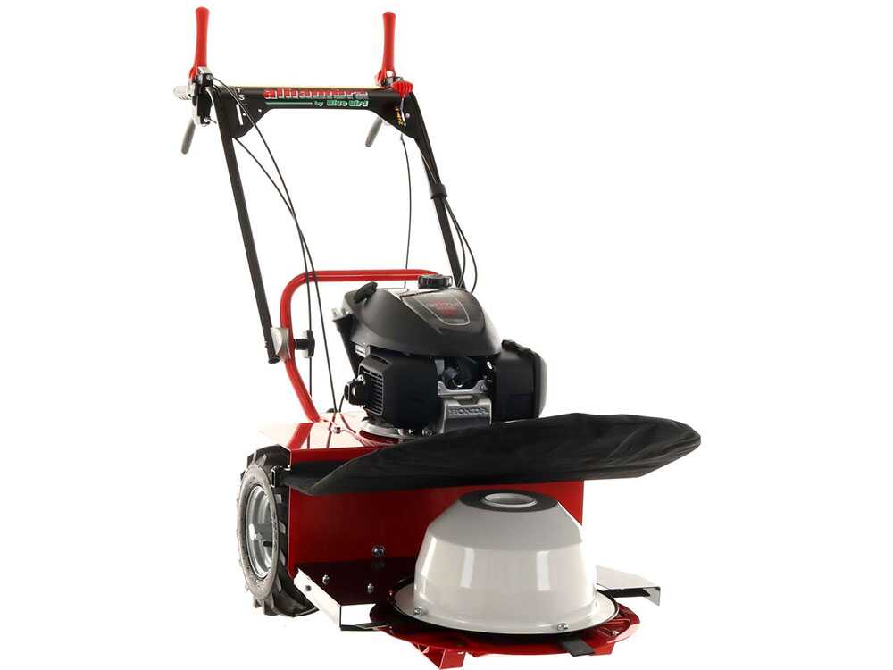 blue-bird-alhambra-ts-pro-h0-motosegadora-rotativa-honda-gcv-200-motosegadora-giratoria-alhambra-ts-pro-h0--24869_12_1597752464_IMG_5f3bc490069b7