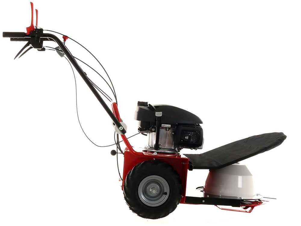 blue-bird-alhambra-ts-pro-h0-motosegadora-rotativa-honda-gcv-200-motosegadora-giratoria-alhambra-ts-pro-h0--24869_12_1597752464_IMG_5f3bc4900a555