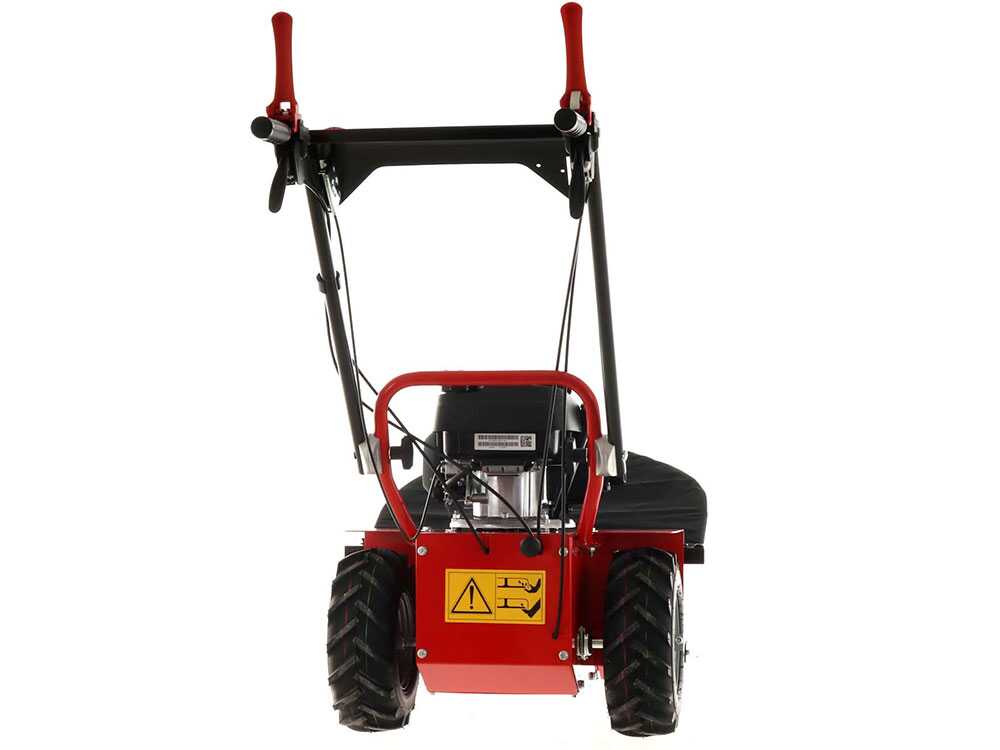 blue-bird-alhambra-ts-pro-h0-motosegadora-rotativa-honda-gcv-200-motosegadora-giratoria-alhambra-ts-pro-h0--24869_12_1597752464_IMG_5f3bc4900c5b6