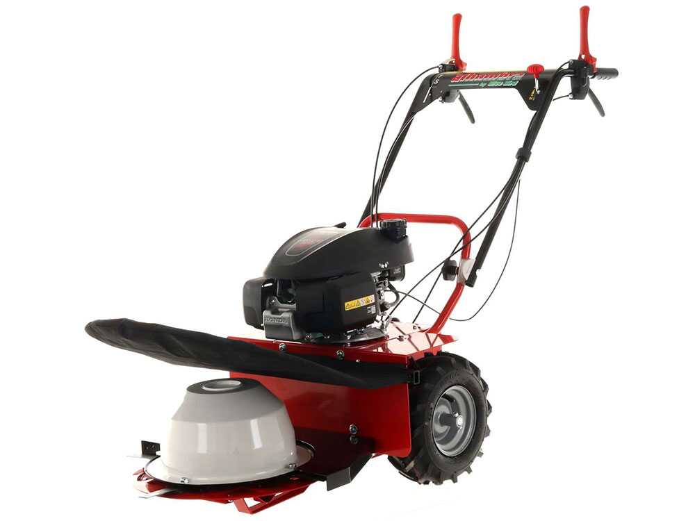 blue-bird-alhambra-ts-pro-h0-motosegadora-rotativa-honda-gcv-200-motosegadora-giratoria-alhambra-ts-pro-h0--24869_12_1597752464_IMG_5f3bc4900f008