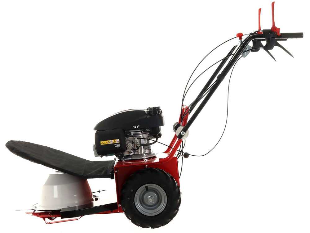 blue-bird-alhambra-ts-pro-h0-motosegadora-rotativa-honda-gcv-200-motosegadora-giratoria-alhambra-ts-pro-h0--24869_12_1597752464_IMG_5f3bc49015b35