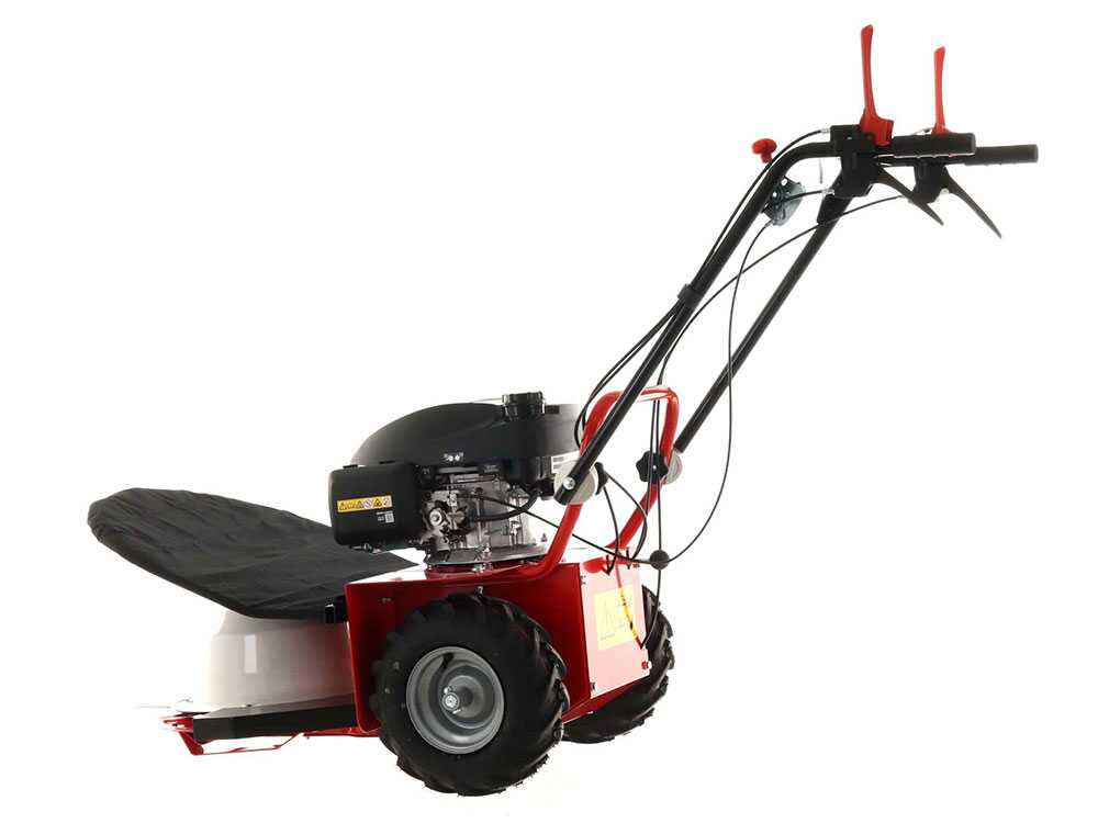 blue-bird-alhambra-ts-pro-h0-motosegadora-rotativa-honda-gcv-200-motosegadora-giratoria-alhambra-ts-pro-h0--24869_12_1597752464_IMG_5f3bc49017a43