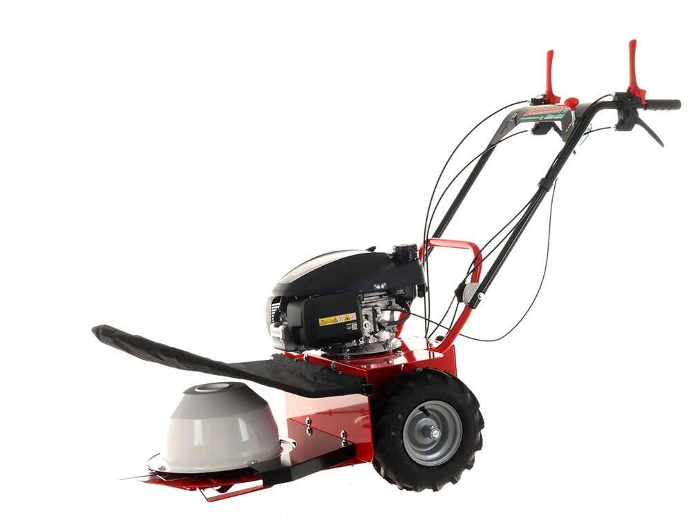 blue-bird-alhambra-ts-pro-h0-motosegadora-rotativa-honda-gcv-200-motosegadora-giratoria-alhambra-ts-pro-h0--24869_12_1597752464_IMG_5f3bc4901ab4e