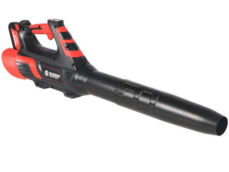 blue-bird-bl-22-300-soplador-de-batera-21-v-5-ah-caractersticas-generales--44937_7_1698760985_IMG_65410919e3aab