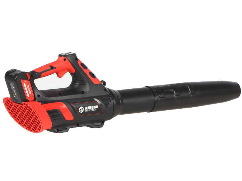 blue-bird-bl-22-300-soplador-de-batera-21-v-5-ah-soplador-de-batera--44937_0_1698760985_IMG_654109199607a