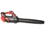 blue-bird-bl-22-300-soplador-de-batera-21-v-5-ah–agrieuro_44937_2