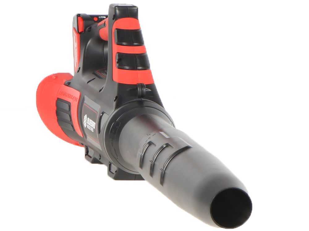 blue-bird-bl-22-300-soplador-de-batera-21-v-5-ah-soplador-de-batera--44937_0_1698760985_IMG_65410919add6c