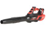 blue-bird-bl-22-300-soplador-de-batera-21-v-5-ah–agrieuro_44937_2