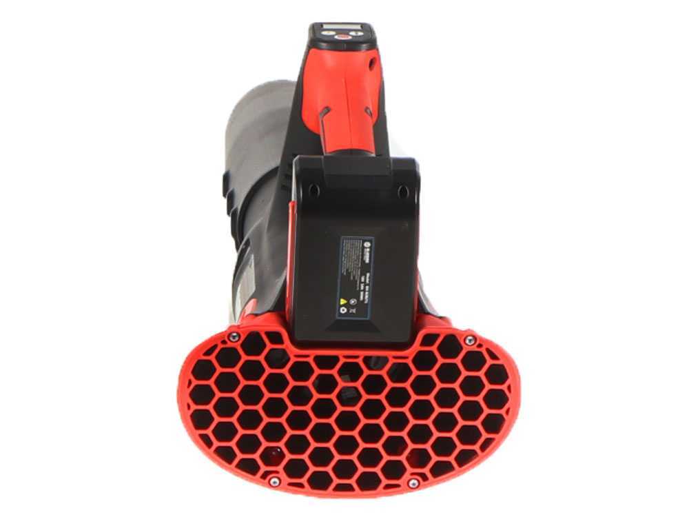 blue-bird-bl-22-300-soplador-de-batera-21-v-5-ah-soplador-de-batera--44937_0_1698760985_IMG_65410919c016c