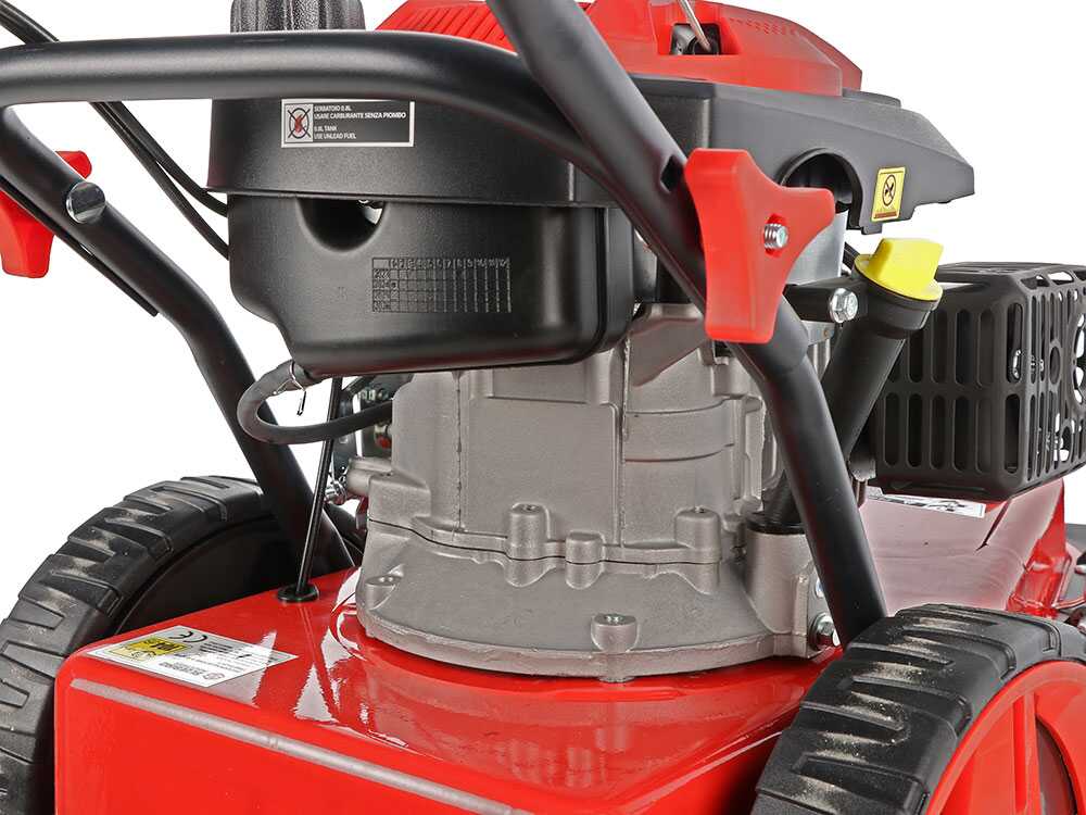 blue-bird-trimtech-t-desbrozadora-de-ruedas-a-gasolina-4-tiempos-autopropulsada-motor-loncin-de-173-cc- (2)