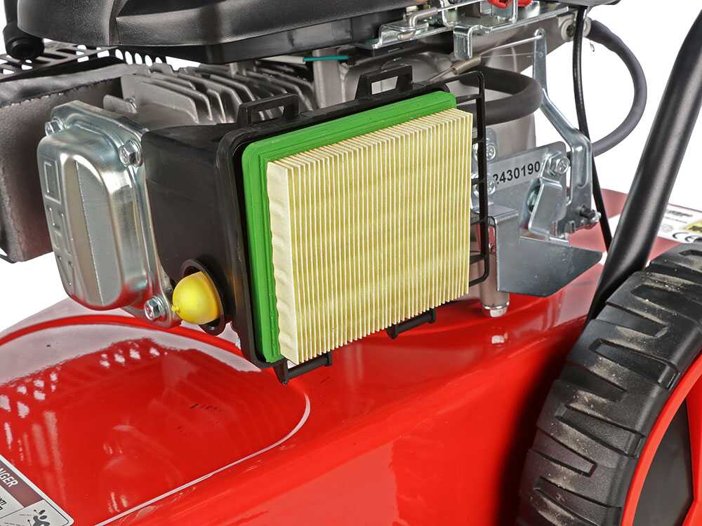 blue-bird-trimtech-t-desbrozadora-de-ruedas-a-gasolina-4-tiempos-autopropulsada-motor-loncin-de-173-cc- (4)