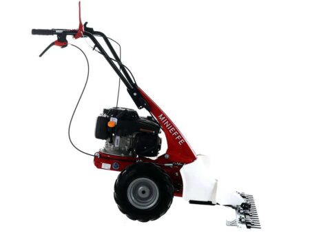 Eurosystem Minieffe - Motosegadora multifunción - Loncin L200 OHV