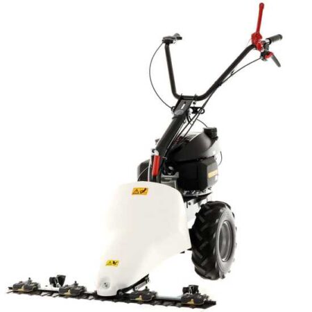 Eurosystems GMP 210 H - Motosegadora de doble cuchilla - Honda GCVx