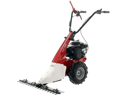 Eurosystems Minieffe M150 - Motosegadora multifunción - B&S 625 EXi