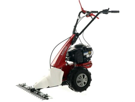 Eurosystems Minieffe M150 RM - Motosegadora multifunción - B&S 625 EXi