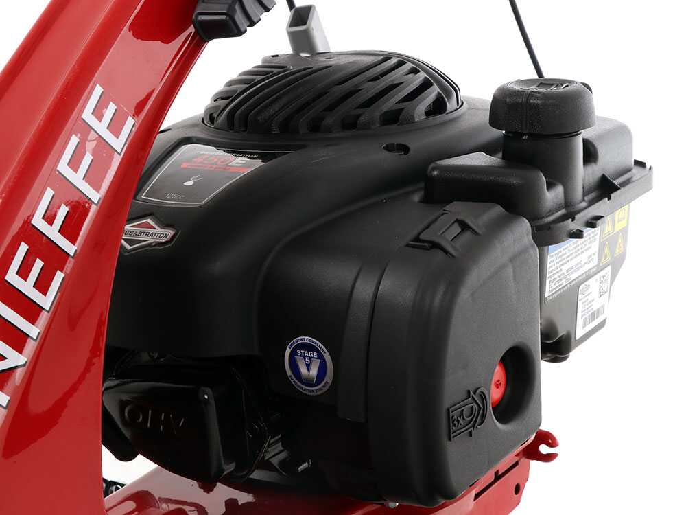 eurosystems-minieffe-motosegadora-multifuncin-b-s-450e-motor-briggs-stratton-450-e--29118_8_1620995298_IMG_609e6ce23d369