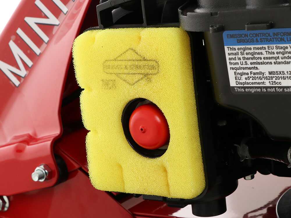 eurosystems-minieffe-motosegadora-multifuncin-b-s-450e-motor-briggs-stratton-450-e--29118_8_1620995298_IMG_609e6ce2903dd