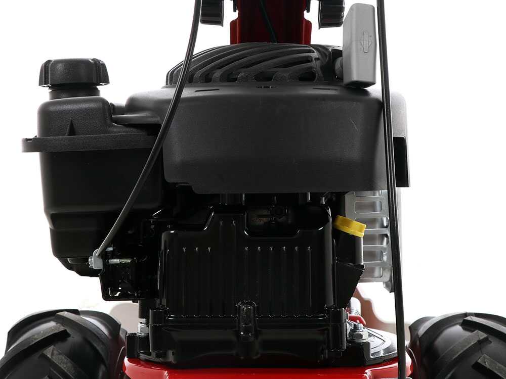 eurosystems-minieffe-motosegadora-multifuncin-b-s-450e-motor-briggs-stratton-450-e--29118_8_1620995298_IMG_609e6ce2e9cea