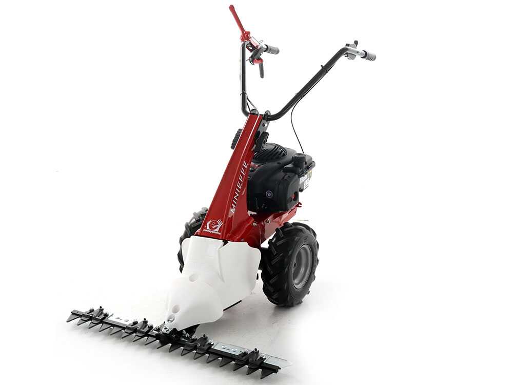 eurosystems-minieffe-motosegadora-multifuncin-b-s-450e-motosegadora-eurosystems-minieffe--29118_9_1620995298_IMG_609e6ce2194d1