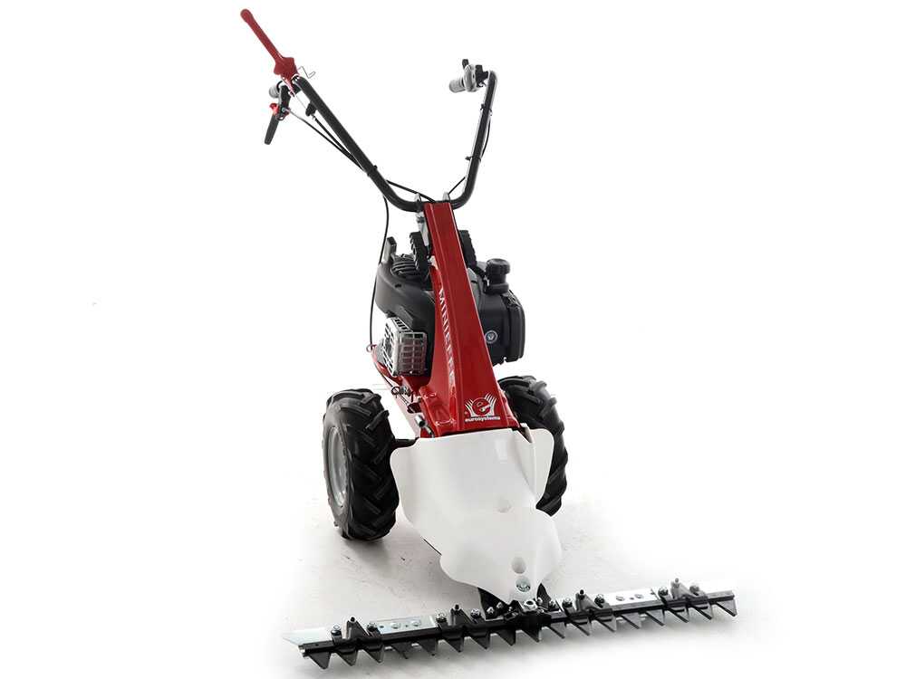 eurosystems-minieffe-motosegadora-multifuncin-b-s-450e-motosegadora-eurosystems-minieffe--29118_9_1620995298_IMG_609e6ce228bc6