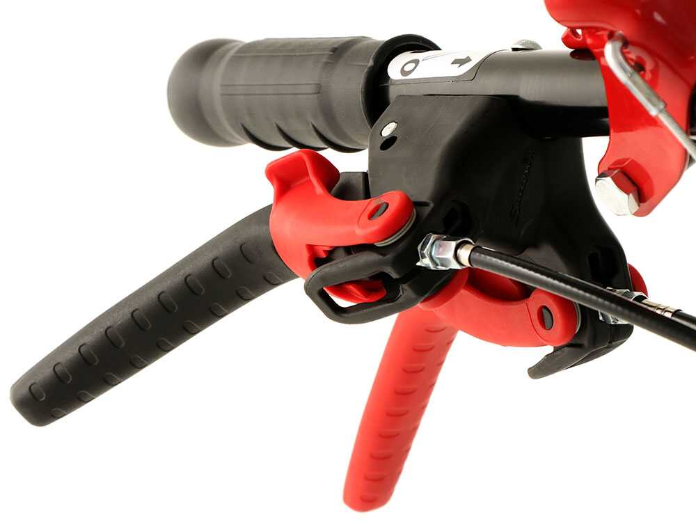 eurosystems-minieffe-rm-motosegadora-multifuncin-rato-rv200-mandos-y-manillar--62455_4_1749623869_IMG_6849243d1bfb7