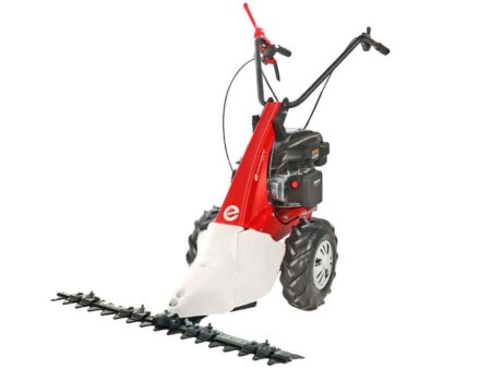 Eurosystems Minieffe RM - Motosegadora multifunción - Rato RV200