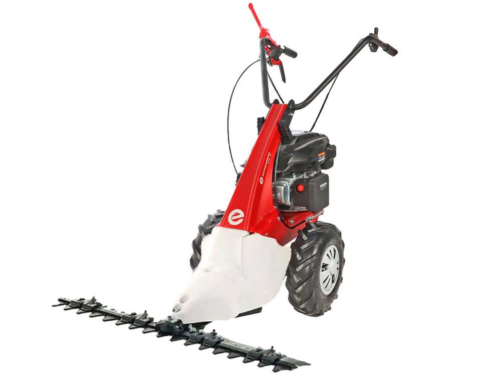 eurosystems-minieffe-rm-motosegadora-multifuncin-rato-rv200-motosegadora-eurosystems-minieffe-rm--62455_1_1749629034_IMG_684