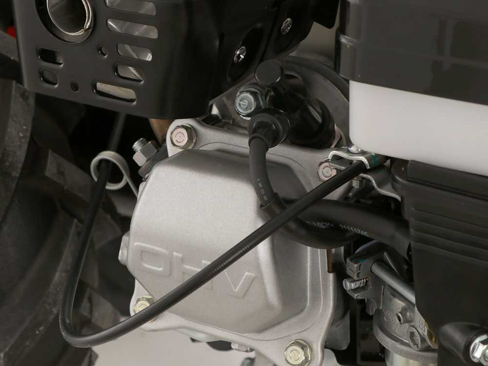 lampacrescia-mgm-fc-207-e-motosegadora-multifuncin-honda-gx160-motor-honda-gx-160--40988_17_1680010364_IMG_6422ec7c7c633