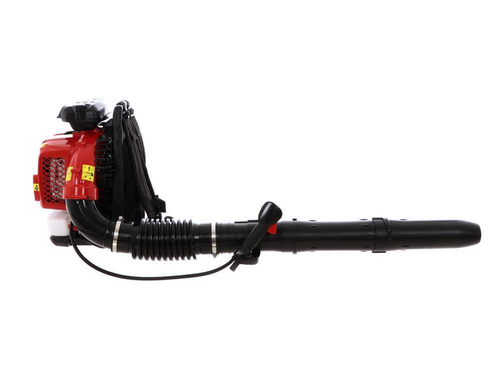 soplador-de-mochila-geotech-bb-660-evo-de-mezcla-respaldo-acolchado-velocidad-248-km-h-soplador-de-mochila-geotech-bb660-evo--22006_1_1580398182_IMG_2513