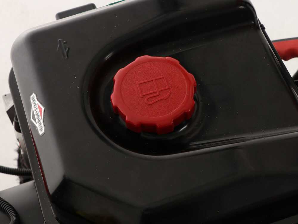 snapper-h1732es-quitanieves-de-gasolina-b-s-1650-snow-motor-briggs-stratton-1650-snow-series--37864_1_1664972394_IMG_633d766a029e7